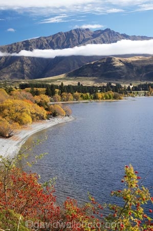 autuminal;autumn;autumn-colour;autumn-colours;autumnal;briar;briar-bush;briar-bushes;briars;Central-Otago;cloud;clouds;color;colors;colour;colours;deciduous;End-Peak;fall;Glendhu-Bay;Harris-Mountains;lake;Lake-Wanaka;lakes;leaf;leaves;mist;mists;misty;N.Z.;New-Zealand;NZ;Otago;rosehip;rosehip-bush;rosehip-bushes;rosehips;S.I.;season;seasonal;seasons;shoreline;shorelines;SI;South-Island;Southern-Lakes;Southern-Lakes-District;Southern-Lakes-Region;tree;trees;Wanaka;water