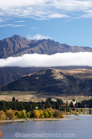 autuminal;autumn;autumn-colour;autumn-colours;autumnal;Central-Otago;cloud;clouds;color;colors;colour;colours;deciduous;End-Peak;fall;Glendhu-Bay;Harris-Mountains;lake;Lake-Wanaka;lakes;leaf;leaves;mist;mists;misty;N.Z.;New-Zealand;NZ;Otago;S.I.;season;seasonal;seasons;SI;South-Island;Southern-Lakes;Southern-Lakes-District;Southern-Lakes-Region;tree;trees;Wanaka;water
