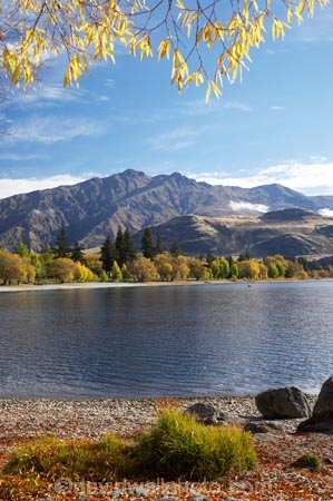 autuminal;autumn;autumn-colour;autumn-colours;autumnal;Camp;Camp-Ground;Camp-Grounds;Camp-Site;Camp-Sites;campground;campgrounds;Camping;Camping-Area;Camping-Areas;Camping-Ground;Camping-Grounds;Camping-Site;Camping-Sites;Caravan-Park;Caravan-Parks;Central-Otago;color;colors;colour;colours;deciduous;End-Peak;fall;Glendhu-Bay;Glendhu-Bay-Campground;Harris-Mountains;Holiday;Holiday-Park;Holiday-Parks;holidays;lake;Lake-Wanaka;lakes;leaf;leaves;N.Z.;New-Zealand;NZ;Otago;S.I.;season;seasonal;seasons;shoreline;shorelines;SI;South-Island;Southern-Lakes;Southern-Lakes-District;Southern-Lakes-Region;tree;trees;vacation;vacations;Wanaka;water;willow;willow-tree;willow-trees;willows
