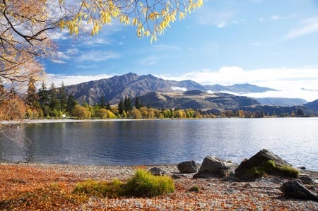 autuminal;autumn;autumn-colour;autumn-colours;autumnal;Camp;Camp-Ground;Camp-Grounds;Camp-Site;Camp-Sites;campground;campgrounds;Camping;Camping-Area;Camping-Areas;Camping-Ground;Camping-Grounds;Camping-Site;Camping-Sites;Caravan-Park;Caravan-Parks;Central-Otago;color;colors;colour;colours;deciduous;End-Peak;fall;Glendhu-Bay;Glendhu-Bay-Campground;Harris-Mountains;Holiday;Holiday-Park;Holiday-Parks;holidays;lake;Lake-Wanaka;lakes;leaf;leaves;N.Z.;New-Zealand;NZ;Otago;S.I.;season;seasonal;seasons;shoreline;shorelines;SI;South-Island;Southern-Lakes;Southern-Lakes-District;Southern-Lakes-Region;tree;trees;vacation;vacations;Wanaka;water;willow;willow-tree;willow-trees;willows