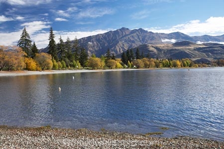 autuminal;autumn;autumn-colour;autumn-colours;autumnal;Camp;Camp-Ground;Camp-Grounds;Camp-Site;Camp-Sites;campground;campgrounds;Camping;Camping-Area;Camping-Areas;Camping-Ground;Camping-Grounds;Camping-Site;Camping-Sites;Caravan-Park;Caravan-Parks;Central-Otago;color;colors;colour;colours;deciduous;End-Peak;fall;Glendhu-Bay;Glendhu-Bay-Campground;Harris-Mountains;Holiday;Holiday-Park;Holiday-Parks;holidays;lake;Lake-Wanaka;lakes;leaf;leaves;N.Z.;New-Zealand;NZ;Otago;S.I.;season;seasonal;seasons;shoreline;shorelines;SI;South-Island;Southern-Lakes;Southern-Lakes-District;Southern-Lakes-Region;tree;trees;vacation;vacations;Wanaka;water
