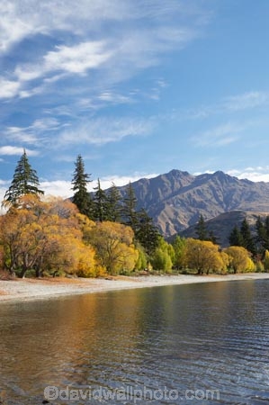 autuminal;autumn;autumn-colour;autumn-colours;autumnal;Camp;Camp-Ground;Camp-Grounds;Camp-Site;Camp-Sites;campground;campgrounds;Camping;Camping-Area;Camping-Areas;Camping-Ground;Camping-Grounds;Camping-Site;Camping-Sites;Caravan-Park;Caravan-Parks;Central-Otago;color;colors;colour;colours;deciduous;End-Peak;fall;Glendhu-Bay;Glendhu-Bay-Campground;Harris-Mountains;Holiday;Holiday-Park;Holiday-Parks;holidays;lake;Lake-Wanaka;lakes;leaf;leaves;N.Z.;New-Zealand;NZ;Otago;S.I.;season;seasonal;seasons;shoreline;shorelines;SI;South-Island;Southern-Lakes;Southern-Lakes-District;Southern-Lakes-Region;tree;trees;vacation;vacations;Wanaka;water;willow;willow-tree;willow-trees;willows