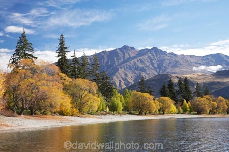 autuminal;autumn;autumn-colour;autumn-colours;autumnal;Camp;Camp-Ground;Camp-Grounds;Camp-Site;Camp-Sites;campground;campgrounds;Camping;Camping-Area;Camping-Areas;Camping-Ground;Camping-Grounds;Camping-Site;Camping-Sites;Caravan-Park;Caravan-Parks;Central-Otago;color;colors;colour;colours;deciduous;End-Peak;fall;Glendhu-Bay;Glendhu-Bay-Campground;Harris-Mountains;Holiday;Holiday-Park;Holiday-Parks;holidays;lake;Lake-Wanaka;lakes;leaf;leaves;N.Z.;New-Zealand;NZ;Otago;S.I.;season;seasonal;seasons;shoreline;shorelines;SI;South-Island;Southern-Lakes;Southern-Lakes-District;Southern-Lakes-Region;tree;trees;vacation;vacations;Wanaka;water;willow;willow-tree;willow-trees;willows