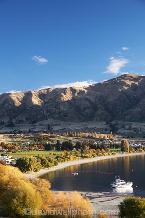 autuminal;autumn;autumn-colour;autumn-colours;autumnal;boat;boats;Central-Otago;color;colors;colour;colours;cruise;cruises;deciduous;fall;lake;Lake-Wanaka;lakes;launch;launches;leaf;leaves;N.Z.;New-Zealand;NZ;Otago;S.I.;season;seasonal;seasons;shoreline;shorelines;SI;South-Island;Southern-Lakes;Southern-Lakes-District;Southern-Lakes-Region;tour-boat;tour-boats;tourism;tourist;tourist-boat;tourist-boats;tree;trees;Wanaka;water;willow;willow-tree;willow-trees;willows