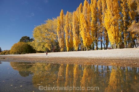 autuminal;autumn;autumn-colour;autumn-colours;autumnal;calm;Central-Otago;color;colors;colour;colours;deciduous;fall;female;girl;girls;golden;lake;Lake-Wanaka;lakes;leaf;leaves;N.Z.;New-Zealand;NZ;Otago;people;person;persons;placid;poplar;poplar-tree;poplar-trees;poplars;quiet;reflection;reflections;S.I.;season;seasonal;seasons;serene;SI;smooth;South-Is.;South-Island;Southern-Lakes;Southern-Lakes-District;Southern-Lakes-Region;still;tranquil;tree;trees;Wanaka;water;woman;women;yellow