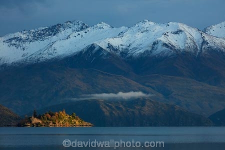 autuminal;autumn;autumn-colour;autumn-colours;autumnal;Buchanan-Mountains;Buchanan-Peaks;calm;Central-Otago;color;colors;colour;colours;deciduous;fall;gold;golden;island;islands;lake;Lake-Wanaka;lakes;leaf;leaves;mountain;mountains;N.Z.;New-Zealand;NZ;Otago;placid;quiet;reflected;reflection;reflections;Ruby-Is;Ruby-Island;season;seasonal;seasons;serene;SI;smooth;snow;snow-capped;snowy;South-Island;Sth-Is;still;tranquil;tree;trees;Wanaka;water;yellow