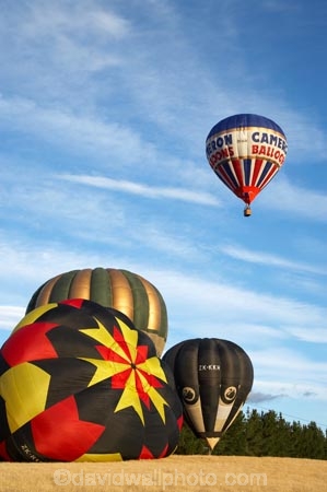 adventure;air;Air-Games;aviation;balloon;ballooning;balloons;Cameron-Balloon;Cameron-Balloons;color;colorful;colour;colourful;flight;float;floating;fly;flying;horticulture;hot-air-balloon;hot-air-ballooning;hot-air-balloons;Hot_air-Balloon;hot_air-ballooning;hot_air-balloons;hotair-balloon;hotair-balloons;mid-air;mid_air;N.Z.;New-Zealand;New-Zealand-Air-Games;NZ;NZ-Air-Games;Otago;S.I.;SI;South-Island;sport;sports;transport;transportation;Wanaka