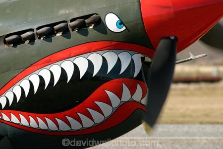 aeroplane;aeroplanes;air-craft;air-display;air-displays;air-force;air-show;air-shows;aircraft;airforce;airplane;airplanes;airshow;airshows;aviating;aviation;aviator;aviators;battle-of-the-pacific;combat;curtis;curtiss-kitthawks;curtiss-kittyhawk;curtiss-p_40-kittyhawk;demonstration;display;displays;fighter;fighter-plane;fighter-planes;fighters;flight;flights;fly;flyer;flyers;flying;kittyhawk;kittyhawks;military;new-zealand;nz;p40;p40-kittyhawk;pilot;pilots;plane;planes;sky;south-island;wanaka;war;warbird;warbirds;warbirds-over-wanaka;wars;world-war-2;world-war-two;ww2;WWII