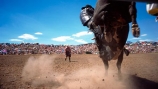 rodeo;bull;kick;kicking;hoof;hooves;dirt;crowd;audience;gathering;daring;dare-devil;daredevil;stunt;stunt-man;stuntman;stunt-men;stuntmen;challenge;dust