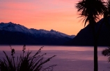 pink-tint;pink;colour;peach-tint;peach;purple-tint;tint;cabbage-tree;cabbage-trees;silhouette;silhouettes;silhouetted;lake;lake-hawea;peaceful;calm;tranquil;tranquility;red-sky;sunrise;sunset;dusk;dawn