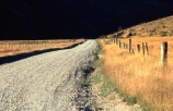 road;dirt-road;fence;fences;grass;high-grass;isolated;rural