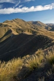 Central-Otago;high-country;highcountry;highland;highlands;Lindis-Pass;mountain;mountains;N.Z.;New-Zealand;North-Otago;NZ;Otago;range;ranges;ridge;ridgeline;ridgelines;ridges;SI;snow-tussock;snow-tussocks;South-Island;tussock;tussock-land;tussock-lands;tussockland;tussocklands;tussocks;uplands