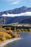 autuminal;autumn;autumn-colour;autumn-colours;autumnal;Central-Otago;cloud;clouds;color;colors;colour;colours;deciduous;End-Peak;fall;Glendhu-Bay;Harris-Mountains;lake;Lake-Wanaka;lakes;leaf;leaves;mist;mists;misty;N.Z.;New-Zealand;NZ;Otago;S.I.;season;seasonal;seasons;shoreline;shorelines;SI;South-Island;Southern-Lakes;Southern-Lakes-District;Southern-Lakes-Region;tree;trees;Wanaka;water;willow;willow-tree;willow-trees;willows