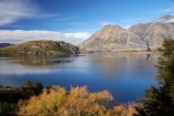 autuminal;autumn;autumn-colour;autumn-colours;autumnal;calm;Central-Otago;color;colors;colour;colours;deciduous;fall;Glendhu-Bay;lake;Lake-Wanaka;lakes;leaf;leaves;N.Z.;New-Zealand;NZ;Otago;Parkins-Bay;placid;quiet;reflection;reflections;Roys-Peak;S.I.;season;seasonal;seasons;serene;SI;smooth;South-Island;Southern-Lakes;Southern-Lakes-District;Southern-Lakes-Region;still;tranquil;tree;trees;Wanaka;water;willow;willow-tree;willow-trees;willows