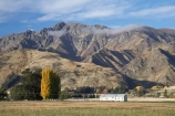 agricultural;agriculture;autuminal;autumn;autumn-colour;autumn-colours;autumnal;Central-Otago;color;colors;colour;colours;country;countryside;deciduous;fall;farm;Farm-Building;Farm-Buildings;Farm-Shed;Farm-Sheds;farming;farmland;farms;field;fields;Grandview-Mountain;Hawea;leaf;leaves;meadow;meadows;N.Z.;New-Zealand;NZ;Otago;paddock;paddocks;pasture;pastures;rural;S.I.;season;seasonal;seasons;Shearing-Shed;Shearing-Sheds;Sheep-Shed;Sheep-Sheds;SI;South-Island;Southern-Lakes;Southern-Lakes-District;Southern-Lakes-Region;tree;trees;Wool-Shed;Wool-Sheds