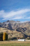 agricultural;agriculture;autuminal;autumn;autumn-colour;autumn-colours;autumnal;Central-Otago;color;colors;colour;colours;country;countryside;deciduous;fall;farm;Farm-Building;Farm-Buildings;Farm-Shed;Farm-Sheds;farming;farmland;farms;field;fields;Grandview-Mountain;Hawea;leaf;leaves;meadow;meadows;N.Z.;New-Zealand;NZ;Otago;paddock;paddocks;pasture;pastures;rural;S.I.;season;seasonal;seasons;Shearing-Shed;Shearing-Sheds;Sheep-Shed;Sheep-Sheds;SI;South-Island;Southern-Lakes;Southern-Lakes-District;Southern-Lakes-Region;tree;trees;Wool-Shed;Wool-Sheds