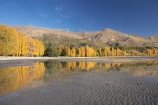 autuminal;autumn;autumn-colour;autumn-colours;autumnal;calm;Central-Otago;color;colors;colour;colours;deciduous;fall;golden;lake;Lake-Wanaka;lakes;leaf;leaves;Mount-Alpha;Mt-Alpha;Mt.-Alpha;N.Z.;New-Zealand;NZ;Otago;placid;poplar;poplar-tree;poplar-trees;poplars;quiet;reflection;reflections;S.I.;season;seasonal;seasons;serene;SI;smooth;South-Is.;South-Island;Southern-Lakes;Southern-Lakes-District;Southern-Lakes-Region;still;tranquil;tree;trees;Wanaka;water;yellow