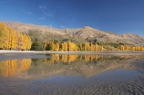 autuminal;autumn;autumn-colour;autumn-colours;autumnal;calm;Central-Otago;color;colors;colour;colours;deciduous;fall;golden;lake;Lake-Wanaka;lakes;Mount-Alpha;Mt-Alpha;Mt.-Alpha;N.Z.;New-Zealand;NZ;Otago;placid;poplar;poplar-tree;poplar-trees;poplars;quiet;reflection;reflections;S.I.;season;seasonal;seasons;serene;SI;smooth;South-Is.;South-Island;Southern-Lakes;Southern-Lakes-District;Southern-Lakes-Region;still;tranquil;tree;trees;Wanaka;water;yellow