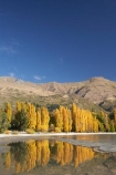 autuminal;autumn;autumn-colour;autumn-colours;autumnal;calm;Central-Otago;color;colors;colour;colours;deciduous;fall;golden;lake;Lake-Wanaka;lakes;leaf;leaves;Mount-Alpha;Mt-Alpha;Mt.-Alpha;N.Z.;New-Zealand;NZ;Otago;placid;poplar;poplar-tree;poplar-trees;poplars;quiet;reflection;reflections;S.I.;season;seasonal;seasons;serene;SI;smooth;South-Is.;South-Island;Southern-Lakes;Southern-Lakes-District;Southern-Lakes-Region;still;tranquil;tree;trees;Wanaka;water;yellow