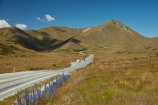 Central-Otago;centre-line;centre-lines;centre_line;centre_lines;centreline;centrelines;driving;high-country;highcountry;highland;highlands;highway;highways;Lindis-Pass;N.Z.;New-Zealand;North-Otago;NZ;open-road;open-roads;Otago;ridge;ridgeline;ridgelines;ridges;road;road-trip;roads;SI;snow-tussock;snow-tussocks;South-Island;State-Highway-8;State-Highway-Eight;straight;transport;transportation;travel;traveling;travelling;trip;tussock;tussock-land;tussock-lands;tussockland;tussocklands;tussocks;uplands