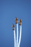 aerobatic;aerobatics;aeroplane;aeroplanes;air-craft;air-display;air-displays;air-show;air-shows;aircraft;airplane;airplanes;airshow;airshows;aviating;aviation;aviator;aviators;checkers;CT_48-Airtrainer;CT_48-Airtrainers;demonstration;display;displays;flight;flights;fly;flyer;flyers;flying;formation;formation-flying;new-zealand;nz;pilot;pilots;plane;planes;rnzaf;smoke-trail;smoke-trails;south-island;stunt;The-Red-Checkers-Aerobatic-Display-Team;vapour-trail;vapour-trails;wanaka;warbird;warbirds;warbirds-over-wanaka