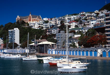 boat;boats;yacht;yachts;harbor;harbors;harbour;harbours;dock;quay;city;basin;water;waterfront;waterside;marinas;boatsheds;shed