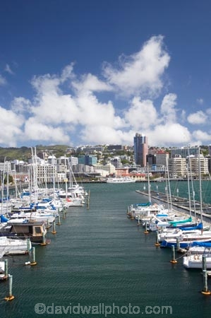 boat;boats;capital;capitals;Chaffers-Marina;harbor;harbors;harbour;harbours;launch;launches;marina;marinas;mast;masts;mooring;N.I.;N.Z.;New-Zealand;NI;North-Is;North-Island;NZ;port;ports;sail;sailing;waterfront;Wellington;yacht;yachts