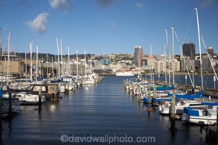 boat;boats;capital;capitals;Chaffers-Marina;harbor;harbors;harbour;harbours;launch;launches;marina;marinas;mast;masts;mooring;N.I.;N.Z.;New-Zealand;NI;North-Is;North-Island;NZ;port;ports;sail;sailing;waterfront;Wellington;yacht;yachts