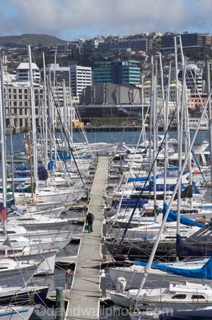 boat;boats;capital;capitals;Chaffers-Marina;dock;docks;harbor;harbors;harbour;harbours;jetties;jetty;launch;launches;marina;marinas;mast;masts;Michael-Fowler-Centre;mooring;N.I.;N.Z.;New-Zealand;NI;North-Is;North-Island;NZ;pier;piers;port;ports;quay;quays;sail;sailing;waterfront;waterside;Wellington;wharf;wharfes;wharves;yacht;yachts