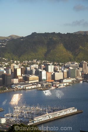 c.b.d.;capital;capitals;cbd;central-business-district;Chaffers-Marina;cities;city;cityscape;cityscapes;harbor;harbors;harbour;harbours;high-rise;high-rises;high_rise;high_rises;highrise;highrises;Lambton-Harbour;Mount-Victoria;Mt-Victoria;Mt.-Victoria;multi_storey;multi_storied;multistorey;multistoried;N.I.;N.Z.;New-Zealand;NI;North-Is;North-Island;NZ;office;office-block;office-blocks;offices;Port-Nicholson;tower-block;tower-blocks;waterfront;Wellington;Wellington-Harbor;Wellington-Harbour;Wellington-Town-Belt