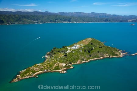 aerial;aerial-image;aerial-images;aerial-photo;aerial-photograph;aerial-photographs;aerial-photography;aerial-photos;aerial-view;aerial-views;aerials;coast;coastal;coastline;coastlines;coasts;DOC-Buildings;harbor;harbors;harbour;harbours;island;islands;Matiu;Matiu-Somes-Island;MatiuSomes-Island;N.I.;N.Z.;New-Zealand;NI;North-Is;North-Island;NZ;NZ-Department-of-Conservation-buildings;Port-Nicholson;sea;seas;shore;shoreline;shorelines;shores;Somes-Is;Somes-Is.;Somes-Island;Te-Whanganui_a_Tara;water;Wellington;Wellington-Harbor;Wellington-Harbour