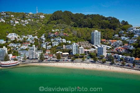 accommodation;aerial;aerial-image;aerial-images;aerial-photo;aerial-photograph;aerial-photographs;aerial-photography;aerial-photos;aerial-view;aerial-views;aerials;apartment;apartments;bay;bays;beach;beaches;Bluewater-Bar-amp;-Grill;Bluewater-Bar-and-Grill;Bluewater-Restaurant;cities;city;cityscape;cityscapes;coast;coastal;coastline;coastlines;coasts;condo;condominium;condominiums;condos;harbor;harbors;harbour;harbours;holiday;holiday-accommodation;Holidays;Mount-Victoria;Mt-Victoria;Mt.-Victoria;N.I.;N.Z.;New-Zealand;NI;North-Is;North-Island;NZ;Oriental-Bay;Oriental-Parade;Port-Nicholson;residential;residential-apartment;residential-apartments;residential-building;residential-buildings;sea;seas;seaside;shore;shoreline;shorelines;shores;summer;Te-Whanganui_a_Tara;water;waterside;Wellington;Wellington-Harbor;Wellington-Harbour