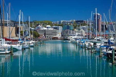 boat;boat-harbor;boat-harbors;boat-harbour;boat-harbours;boats;calm;capital;capitals;Chaffers-Marina;coast;coastal;cruiser;cruisers;harbor;harbors;harbour;harbours;launch;launches;marina;marinas;mast;masts;mooring;N.I.;N.Z.;New-Zealand;NI;North-Is;North-Is.;North-Island;Nth-Is;NZ;placid;port;Port-Nicholson;ports;quiet;reflected;reflection;reflections;sail;sailing;serene;smooth;still;Te-Whanganui_a_Tara;tranquil;water;waterfront;Wellington;Wellington-Harbor;Wellington-Harbour;Wellington-Waterfront;yacht;yachts