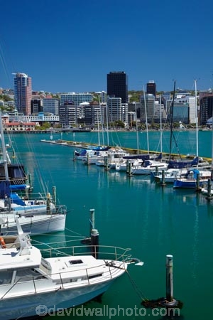 boat;boat-harbor;boat-harbors;boat-harbour;boat-harbours;boats;capital;capitals;Chaffers-Marina;coast;coastal;cruiser;cruisers;harbor;harbors;harbour;harbours;launch;launches;marina;marinas;mast;masts;mooring;N.I.;N.Z.;New-Zealand;NI;North-Is;North-Is.;North-Island;Nth-Is;NZ;port;Port-Nicholson;ports;sail;sailing;Te-Whanganui_a_Tara;waterfront;Wellington;Wellington-Harbor;Wellington-Harbour;Wellington-Waterfront;yacht;yachts