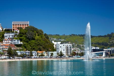 beach;beaches;Catholic-Church-Monastery-of-St-Gerard;coast;coastal;fountain;fountains;harbor;harbors;harbour;harbours;Monastery;Monastery-of-St-Gerard;Monateries;N.I.;N.Z.;New-Zealand;NI;North-Is.;North-Island;Nth-Is;NZ;Oriental-Bay;Oriental-Parade;Oriental-Pde;Port-Nicholson;St-Gerards-Monastery;Te-Whanganui_a_Tara;Wellington;Wellington-Harbor;Wellington-Harbour;Wellington-Waterfront