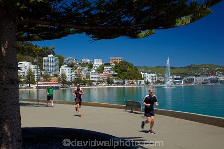 coast;coastal;fitness;harbor;harbors;harbour;harbours;health;jogger;joggers;jogging;N.I.;N.Z.;New-Zealand;NI;North-Is.;North-Island;Nth-Is;NZ;Oriental-Bay;Oriental-Parade;Oriental-Pde;people;person;Port-Nicholson;runner;runners;running;Te-Whanganui_a_Tara;Wellington;Wellington-Harbor;Wellington-Harbour;Wellington-Waterfront
