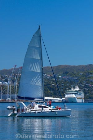 boat;boats;catamaran;catamarans;coast;coastal;harbor;harbors;harbour;harbours;Megisti;N.I.;N.Z.;New-Zealand;NI;North-Is.;North-Island;Nth-Is;NZ;Port-Nicholson;sailboat;sailboats;Te-Whanganui_a_Tara;Wellington;Wellington-Harbor;Wellington-Harbour;Wellington-Waterfront;yacht;yachts
