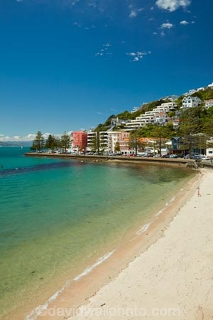 beach;beaches;coast;coastal;harbor;harbors;harbour;harbours;light;lights;N.I.;N.Z.;New-Zealand;NI;North-Is;North-Is.;North-Island;Nth-Is;NZ;Oriental-Bay;Oriental-Parade;Oriental-Pde;Port-Nicholson;Wellington;Wellington-Harbor;Wellington-Harbour;Wellington-Waterfront