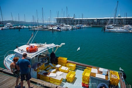 boat;boats;Chaffers-Marina;commercial-Fishing-boat-selling-fish;commercial-Fishing-boats;dock;docks;fish;fish-market;Fishing-boat;Fishing-boats;fishmonger;fishmongers;fishseller;fishsellers;fresh-fish;harbor;harbors;harbour;harbours;jetties;jetty;N.I.;N.Z.;New-Zealand;NI;North-Is;North-Island;NZ;port;ports;quay;quays;Wellington;Wellington-waterfront-walk;wharf;wharfes;wharves
