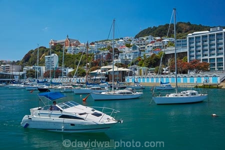 boat;boat-house;boat-houses;boat-shed;boat-sheds;boat_house;boat_houses;boats;boatshed;boatsheds;building;buildings;calm;capital;capitals;Clyde-Quay-Marina;coast;coastal;communities;community;harbor;harbors;harbour;harbours;heritage;hillside;historic;historic-building;historic-buildings;historical;historical-building;historical-buildings;history;home;homes;house;houses;housing;Lambton-Harbour;marina;marinas;mast;masts;mooring;N.I.;N.Z.;neigborhood;neigbourhood;New-Zealand;NI;North-Is;North-Is.;North-Island;Nth-Is;NZ;old;Oriental-Bay;placid;port;Port-Nicholson;ports;resdential;residences;residential;sail;sailing;steep;street;streets;suburb;suburban;suburbia;suburbs;Te-Whanganui_a_Tara;tradition;traditional;urban;villa;water;waterfront;Wellington;Wellington-Harbor;Wellington-Harbour;Wellington-Waterfront;yacht;yachts