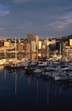boat;boats;yacht;yachts;harbor;harbors;harbour;harbours;dock;quay;city;basin;water;waterfront;waterside;marinas;chaffers-marina;wellington;dawn;early-light;office;offices;office-blocks;cbd;central-business-district;sunrise