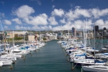 boat;boats;capital;capitals;Chaffers-Marina;harbor;harbors;harbour;harbours;launch;launches;marina;marinas;mast;masts;mooring;N.I.;N.Z.;New-Zealand;NI;North-Is;North-Island;NZ;port;ports;sail;sailing;waterfront;Wellington;yacht;yachts