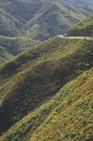 bend;bends;corner;corners;curve;curves;driving;highway;highways;log-lorries;log-lorry;log-truck;log-trucks;logging-lorries;logging-lorry;logging-truck;logging-trucks;N.I.;N.Z.;New-Zealand;NI;North-Is;North-Island;NZ;open-road;open-roads;Rimutaka-Hill-Road;Rimutaka-Road;road;road-trip;roads;State-Highway-2;State-Highway-Two;steep;transport;transportation;travel;traveling;travelling;trip;Wellington