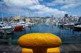 boat;boat-harbor;boat-harbors;boat-harbour;boat-harbours;boats;bolalrs;bollard;capital;capitals;Chaffers-Marina;coast;coastal;cruiser;cruisers;harbor;harbors;harbour;harbours;launch;launches;marina;marinas;mast;masts;mooring;N.I.;N.Z.;New-Zealand;NI;North-Is;North-Is.;North-Island;Nth-Is;NZ;port;ports;sail;sailing;waterfront;Wellington;yacht;yachts;yellow-bollard;yellow-bollards