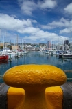 boat;boat-harbor;boat-harbors;boat-harbour;boat-harbours;boats;bolalrs;bollard;capital;capitals;Chaffers-Marina;coast;coastal;cruiser;cruisers;harbor;harbors;harbour;harbours;launch;launches;marina;marinas;mast;masts;mooring;N.I.;N.Z.;New-Zealand;NI;North-Is;North-Is.;North-Island;Nth-Is;NZ;port;ports;sail;sailing;waterfront;Wellington;yacht;yachts;yellow-bollard;yellow-bollards