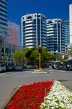 c.b.d.;CBD;central-business-district;cities;city;city-centre;cityscape;cityscapes;down-town;downtown;Financial-District;flower;flowers;garden;gardens;high-rise;high-rises;high_rise;high_rises;highrise;highrises;Lambton-Quay;N.I.;N.Z.;New-Zealand;NI;North-Is.;North-Island;Nth-Is;NZ;office;office-block;office-blocks;office-building;office-buildings;offices;red;Wellington;white