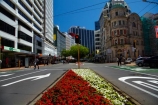 c.b.d.;CBD;central-business-district;cities;city;city-centre;cityscape;cityscapes;down-town;downtown;Financial-District;flower;flowers;garden;gardens;high-rise;high-rises;high_rise;high_rises;highrise;highrises;Lambton-Quay;N.I.;N.Z.;New-Zealand;NI;North-Is.;North-Island;Nth-Is;NZ;office;office-block;office-blocks;office-building;office-buildings;offices;red;Wellington;white