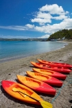adventure;adventure-tourism;beach;beaches;boat;boats;canoe;canoeing;canoes;colorful;colourful;Days-Bay;Days-Bay-Beach;Eastbourne;hot;kayak;kayaker;kayaking;kayaks;N.I.;N.Z.;New-Zealand;NI;North-Is;North-Island;NZ;sea-kayak;sea-kayaking;sea-kayaks;summer;summer_time;summertime;tourism;vacation;vacations;water;waterside;Wellington;Wellington-Harbor;Wellington-Harbour
