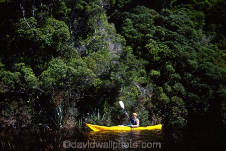 aqua;blue;bush;clear;coast;coast-line;coastal;coastline;color;colors;colour;colours;estuaries;estuary;fern;ferns;green;inlet;inlets;kayaking;kayaks;lagoon;lagoons;native;paddle;paddles;paddling;peace;peaceful;peacefulness;pure;sea;see_through;shore;shore-line;shoreline;tranquil;tranquility;water;yellow