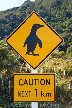caution;emblem;icon;icons;kiwi-icon;logo;N.Z.;New-Zealand;NZ;penguin;penguin-crossing;penguin-sign;penguin-signs;penguin-warning-sign;penguin-warning-signs;penguins;penguins-crossing;road-sign;road-signs;S.I.;SI;sign;signs;South-Is;South-Island;symbol;symbols;warning-sign;warning-signs;West-Coast;Westland;wildlife;yellow